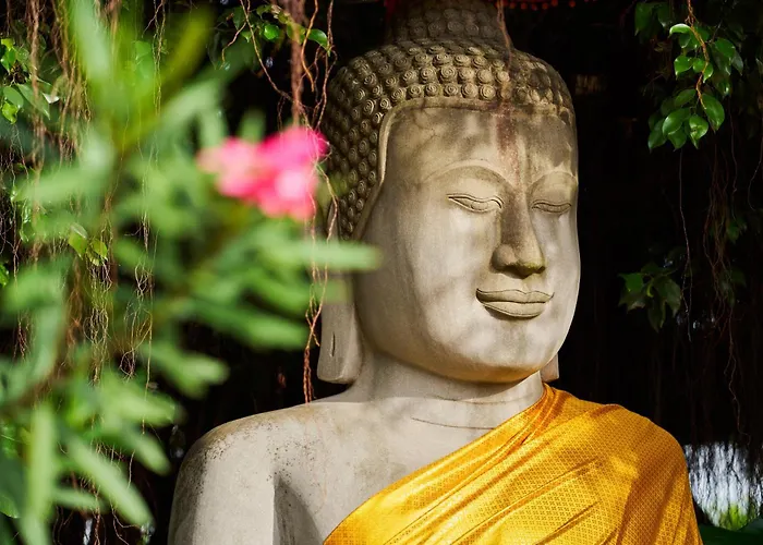 Hotel Tui Blue Angkor Grace Wellness Resort